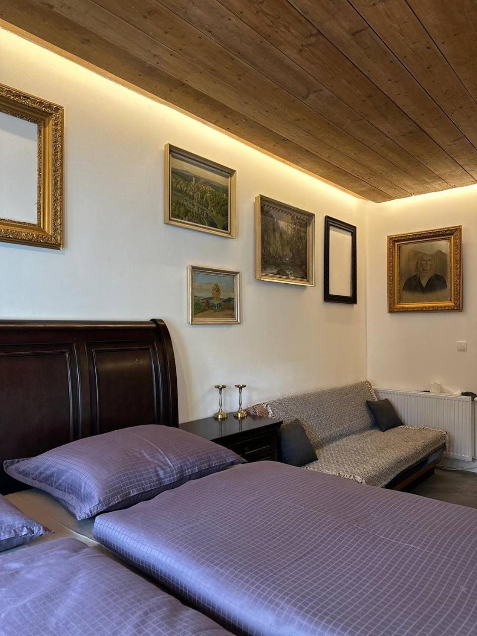 Jetrichovice  Pension Merano المظهر الخارجي الصورة