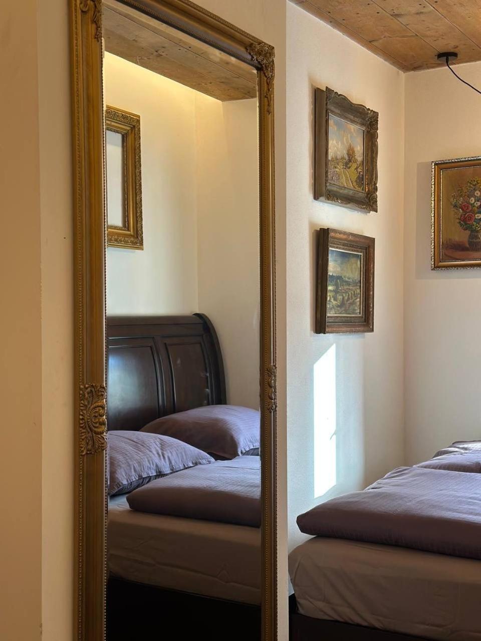 Jetrichovice  Pension Merano المظهر الخارجي الصورة